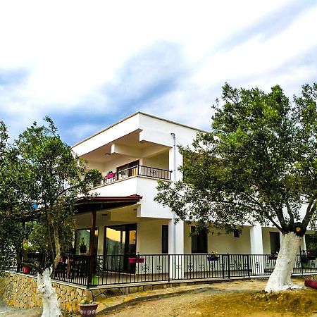 库古库俞Kaymak Tepesi Tatil Evi住宿加早餐旅馆 外观 照片